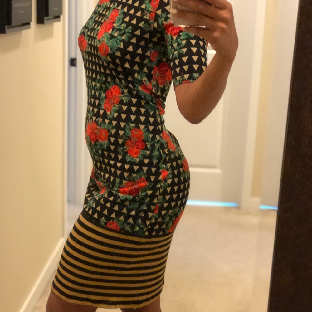 Lularoe Stripped /Floral Julia Dress